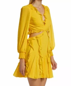 Alice + Olivia Mitzi Cut Out Godet Minidress -Alice + Olivia Sales unnamed file 1186